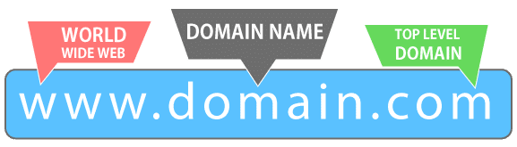 Domain ( tên miền, tên trang web ) là gì? image 1